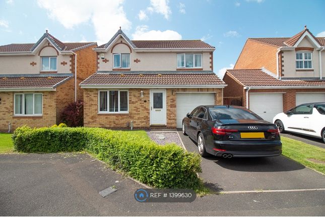 Thumbnail Detached house to rent in Holyfields, West Allotment, Newcastle Upon Tyne