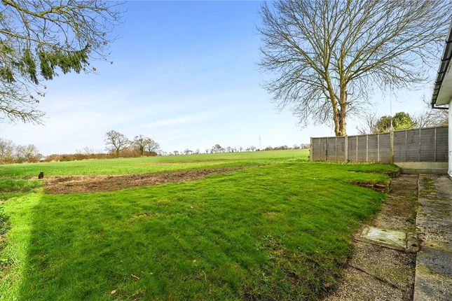 Detached house for sale in North End, Little Yeldham, Halstead, Essex