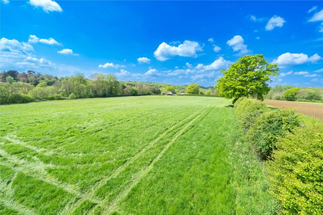 Mill Farm,, Uptons Mill Lane, East Sussex photo 4