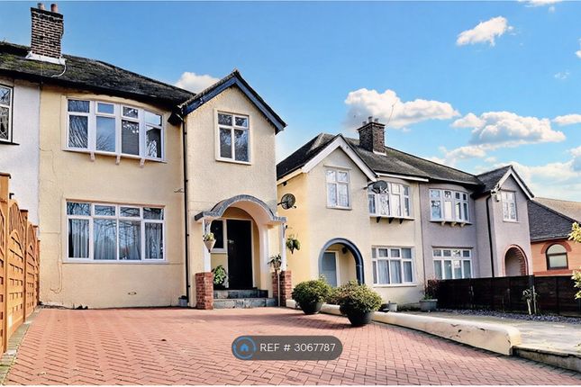 Orpington photo 2