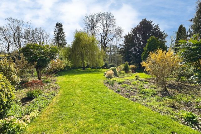 11 High Street, Marlborough photo 4