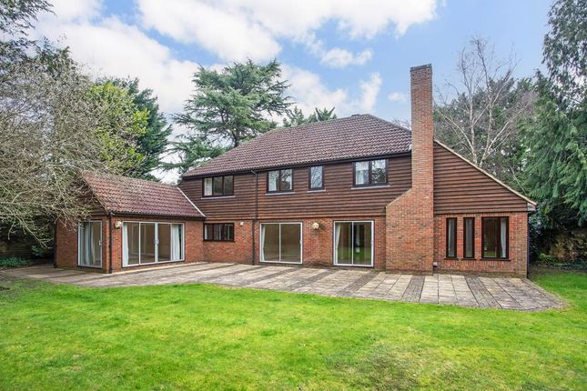 Thumbnail Detached house to rent in Littleworth Lane, Esher