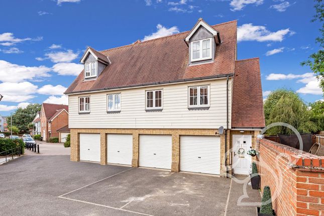 Thumbnail Detached house for sale in Cambie Crescent, Colchester