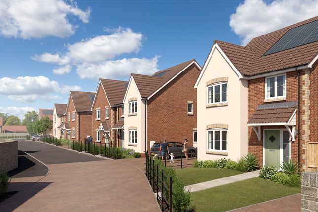 OM Launch Ad 10.09.26,, Launching 26th September - Orchard Meadows, Churchill photo 4