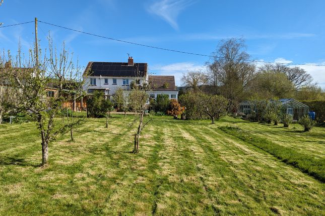 Derwen Gam, Cynghordy, Llandovery photo 2