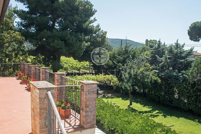 Thumbnail Villa for sale in Orbetello, Grosseto, Tuscany