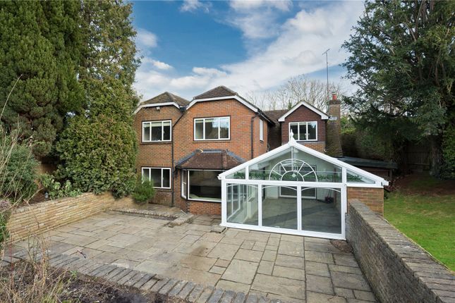Thumbnail Detached house to rent in Rydes Hill Road, Chittys Common, Guildford, Surrey