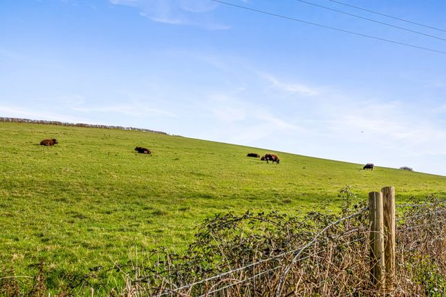 45 Manor Road, Steyning photo 4