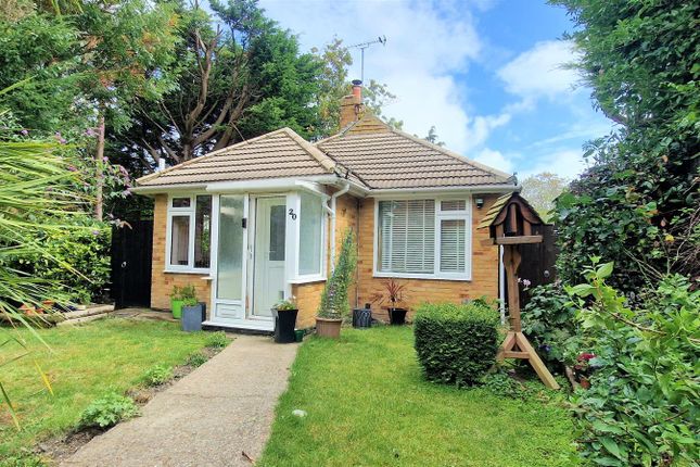 Thumbnail Detached bungalow for sale in Spring Close, Eastbourne