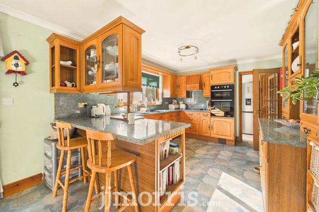Beechwood Lodge, Court Road, Milford Haven photo 4