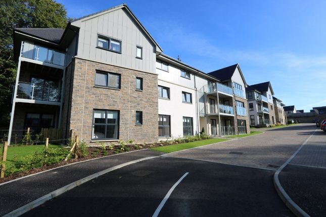 Thumbnail Flat to rent in Knights Grove, Newton Mearns