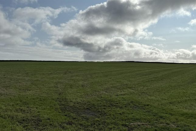 Potential development land, Potential development land, Berstane Loan,, Kirkwall photo 5