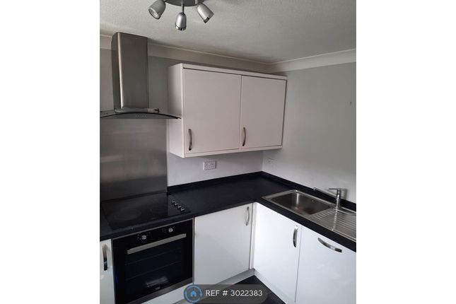 Elderberry Gardens, Witham photo 4
