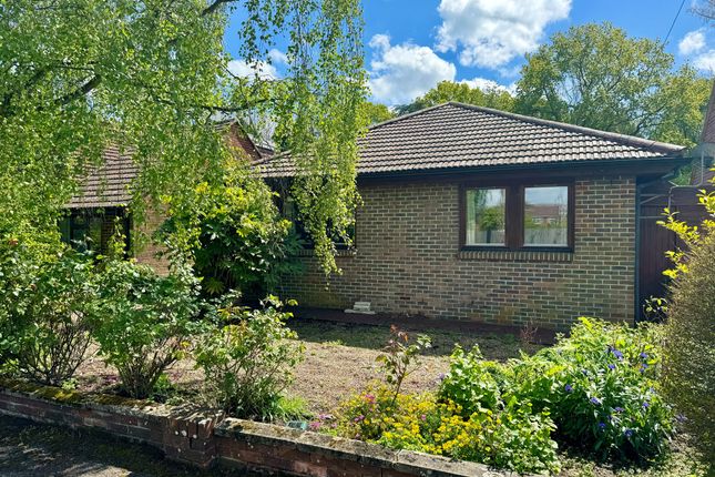 Thumbnail Detached bungalow for sale in Woodroyd Gardens, Horley
