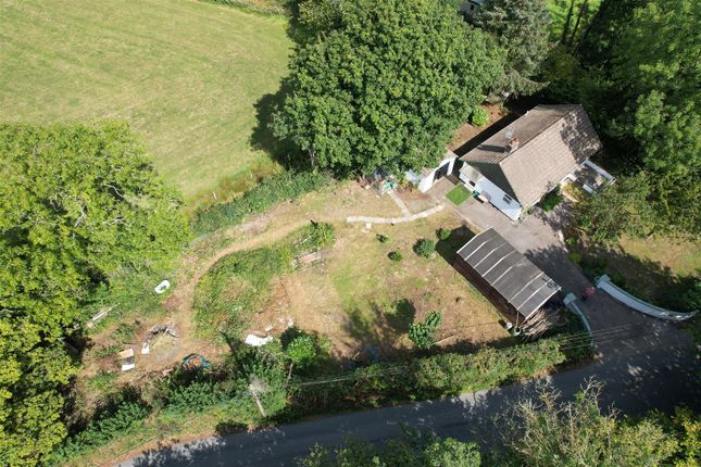 The Paddock,, Oakford, Llanarth photo 2