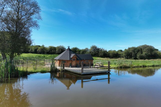 Lake Hut 2 .Jpg