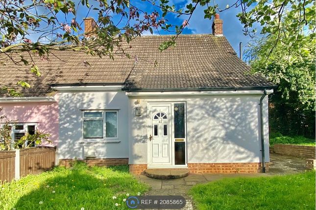 Thumbnail Semi-detached house to rent in Vicarage Avenue, White Notley, Witham