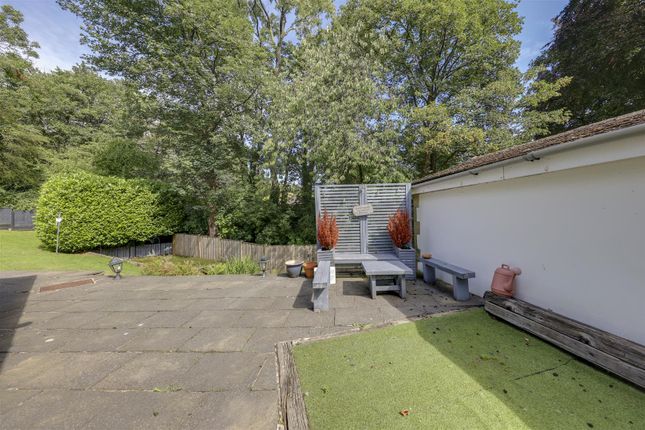 Side Garden Area