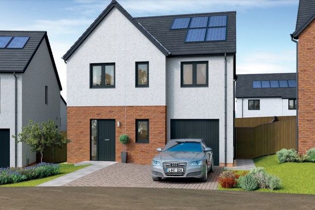 Thumbnail Detached house for sale in Plot 75, The Munro, Hazelwood, Blairgowrie