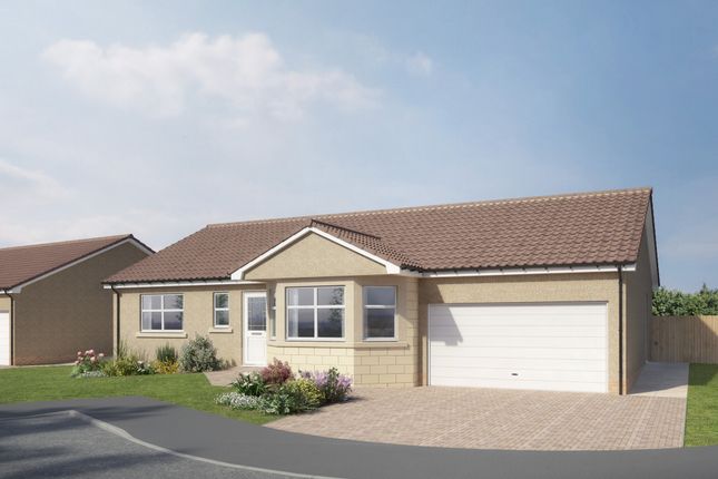 Thumbnail Bungalow for sale in Church Street, Ladybank