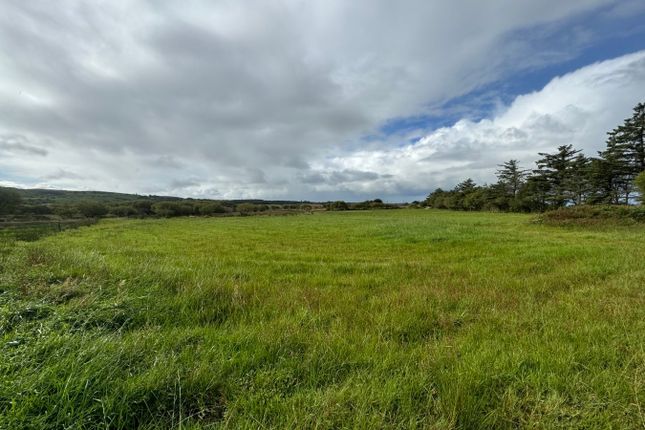 Morfa Du, Trefenter, Aberystwyth photo 2