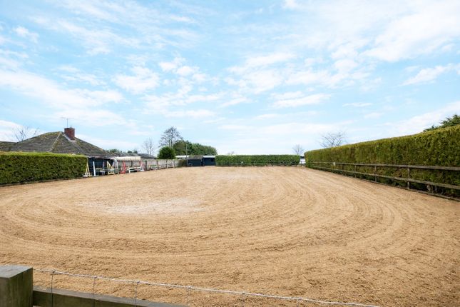 MEADOW VIEW, Hallgate, Spalding photo 3