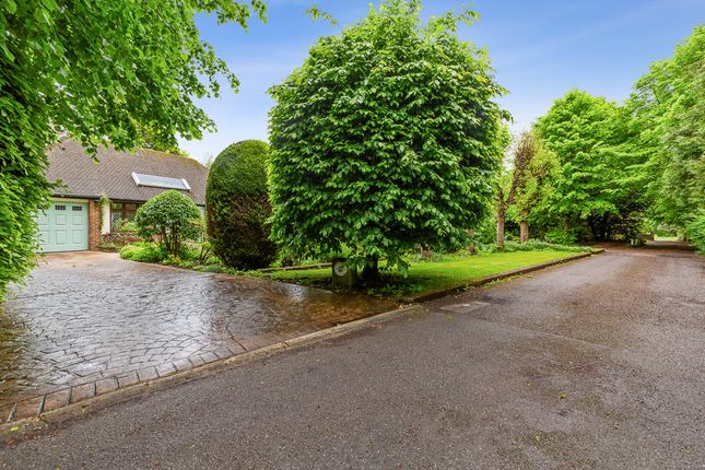Thumbnail Detached bungalow for sale in Copleigh Drive, Tadworth
