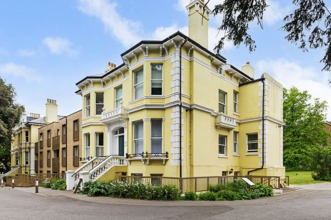 Birch Villa, 253 Preston Road, Brighton photo 2