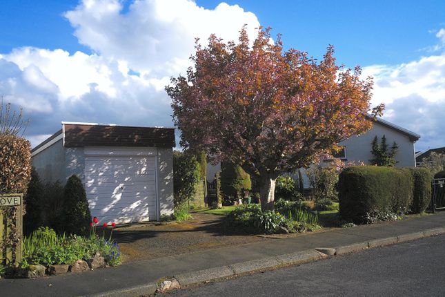 Semi-detached bungalow for sale in Cypress Grove, Jedburgh