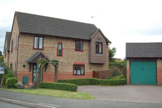 Thumbnail Detached house to rent in 15 New Forest Way, Daventry