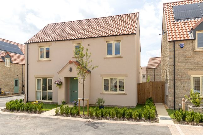 Thumbnail Detached house for sale in Ryves Vale, Tickenham, Clevedon, Somerset