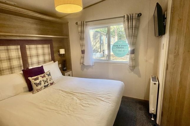 Sandy Balls New Forest Holiday Village, Southampton Rd, Fordingbridge photo 4