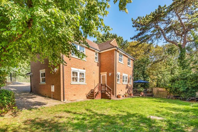 Detached house to rent in Arbour Lane, Old Springfield, Chelmsford