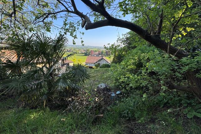 View From Upper Path