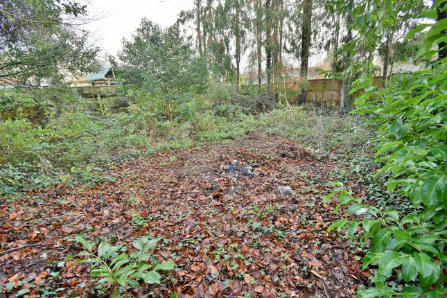 3, Ridgeway, Ferndown photo 3
