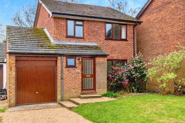 Thumbnail Detached house for sale in The Meadows, Lyndhurst, Hampshire