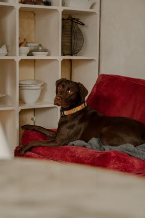 311709 - _A740341.Jpg