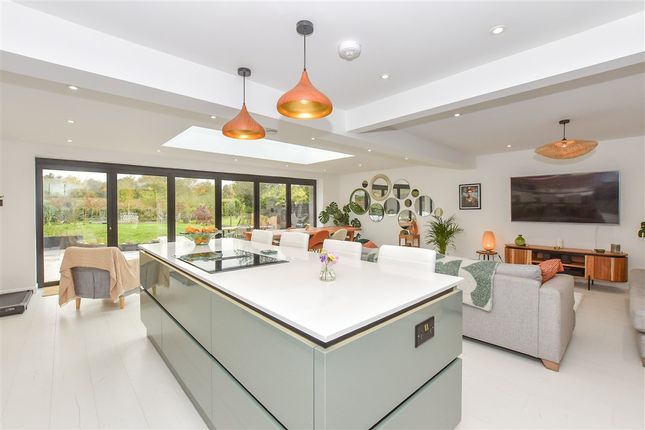 Lounge/Dining Area/Kitchen