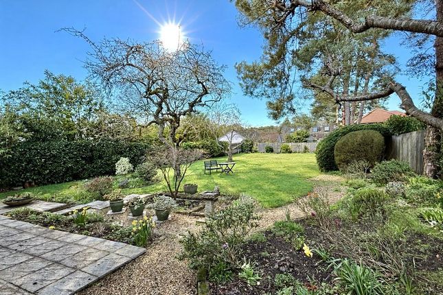 48 Ringwood Road, St. Ives, Ringwood photo 4