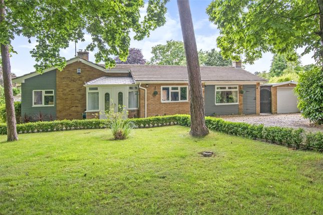 Thumbnail Bungalow for sale in The Avenues, Wroxham, Norwich, Norfolk