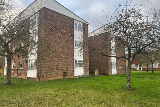 Thumbnail Flat to rent in Newton Road, Northampton, Northamptonshire