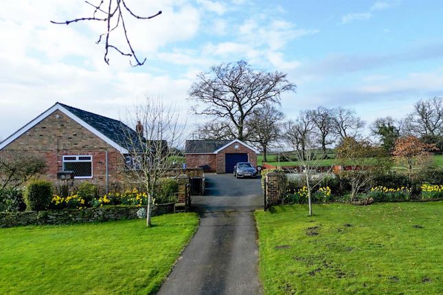Detached bungalow for sale in Cowbrook Lane, Gawsworth, Macclesfield