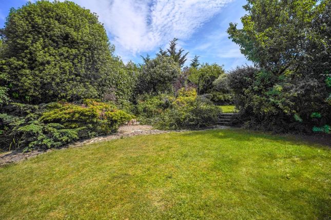 53, Ringmore Rise, London photo 3