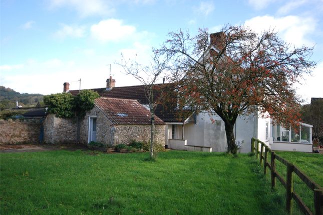 Thumbnail Terraced house to rent in Bonehayne Farm, Colyton