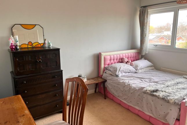 17, Peterborough photo 5
