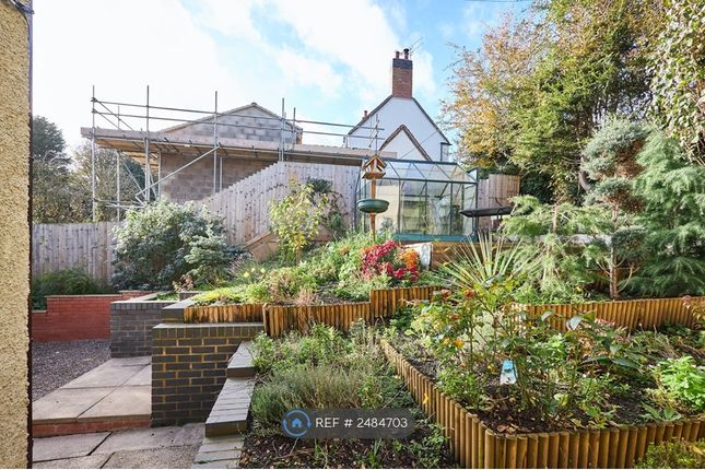 Communal Garden Area