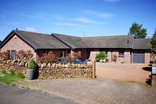 Thumbnail Bungalow for sale in Lazonby, Penrith