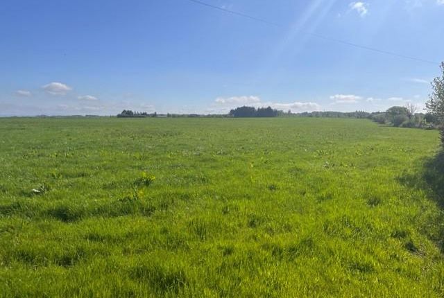 Land at Llansantffraed, Llanon photo 4