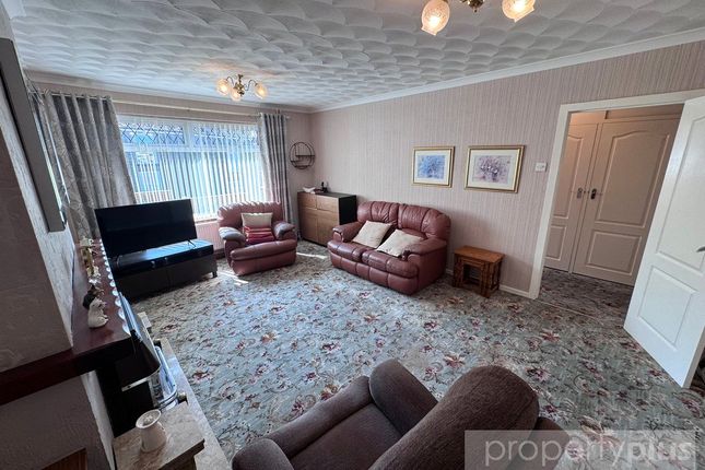 The Conifer,, Mary Street, Rhondda Cynon Taff photo 4