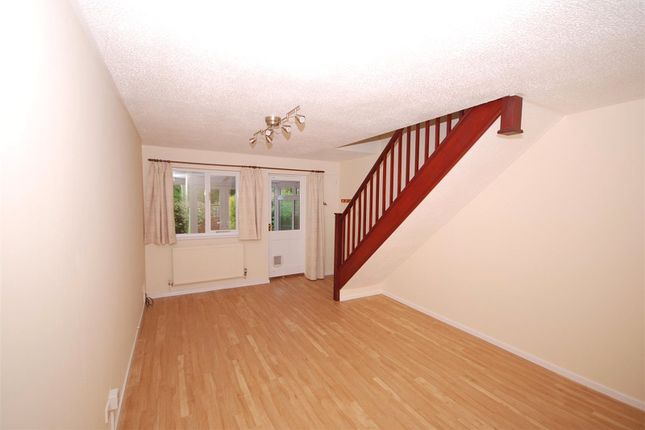 Shand Park, Axminster photo 3
